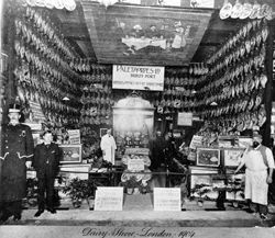 Dairy Show