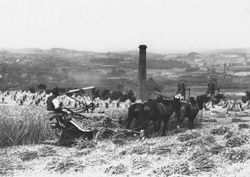 Ploughing the Fields